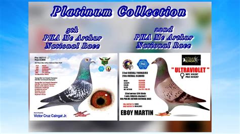 pha pigeon club|PHA 11th McArthur National Race 2021 .
